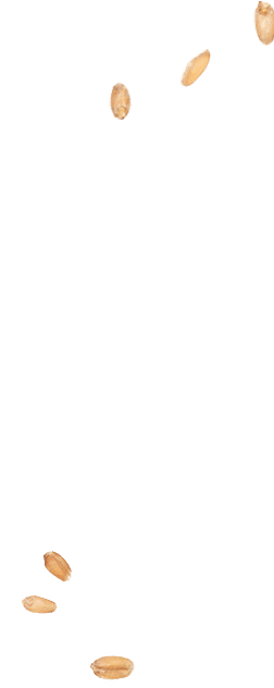 bakery-slider-1-l-3.png