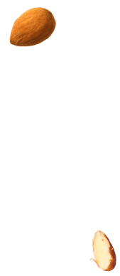 bakery-slider-2-l-2-new-opt.png